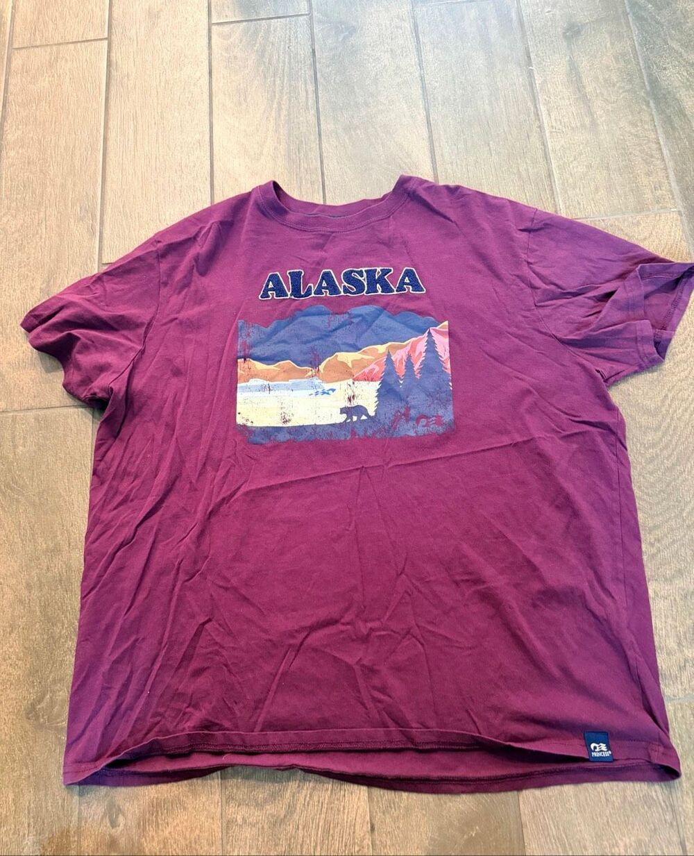 Alaska Souvenir Graphic T Shirt Purple Men 2XL XXL Mountain Bear Nature Casual